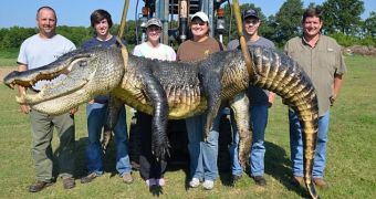 741-pound (336-Kg) alligator breaks state record in Mississippi