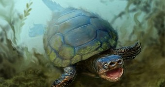Artist's depiction of the turtle Arvinachelys goldeni