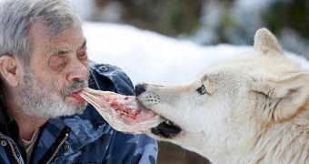 79-year-old man has been living amongst wolves for 40 years