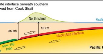 Schematic showing plate subduction under the North Island