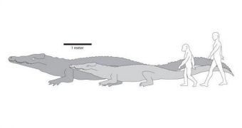 This image shows ancient and modern crocodiles and humans, to scale