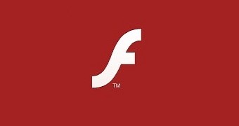 Users tend to forget to update Adobe Flash