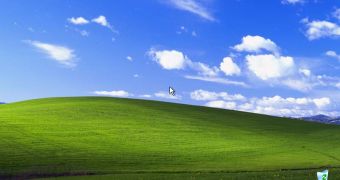 Windows XP has a 31 percent market share