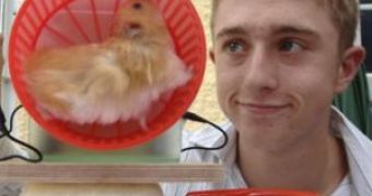 A 16-year-old Boy Invented A Hamster-Powered Phone Charger