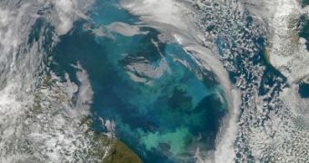A Blooming Barents Sea