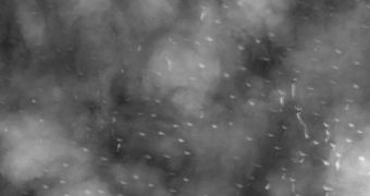 This HiRISE view shows patches of ice on Mars, seen through thick clouds. Click for full resolution