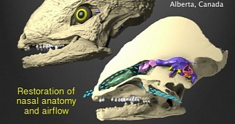 A Dinosaur's Big and Fairly Complex Nose Served to Cool Its Brain