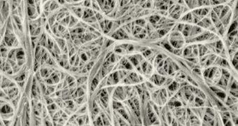 Nanotubes help protect the brain following a stroke