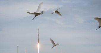 Storks accompany NASA's MAVEN orbiter to the skies