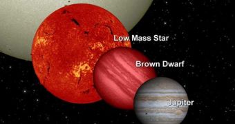 A brown or red dwarf may be lurking in the outer fringes of our solar system