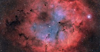 The original photo of the nebula