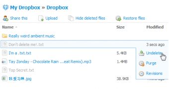 Dropbox web interface