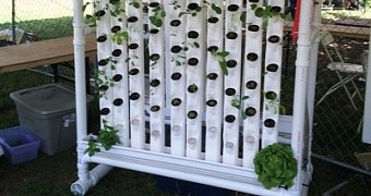[Update] A Vertical Garden That Looks like a Calorifier