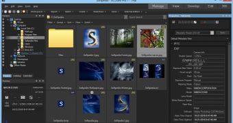 ACDSee Pro remains a popular choice among Windows users