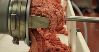 AFA Foods Files for Bankruptcy over Pink Slime Outcry
