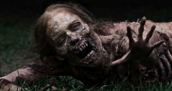 AMC Accidentally Spoils “The Walking Dead” Season 2 Finale
