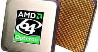 AMD's Opteron chips are here to stay