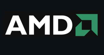 AMD and the Fellowship