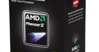 AMD Phenom II X4 980 Black Edition makes its way into retail