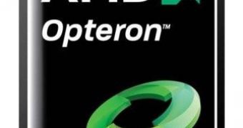 AMD next-generation Opteron processors to deliver 12-core architecture