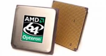 AMD Processors Are More Energy Efficient Than Intel's