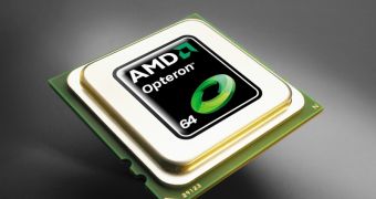AMD expected to add new Opteron processors
