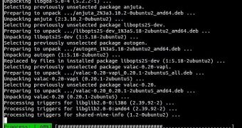 APT in action on Ubuntu Linux
