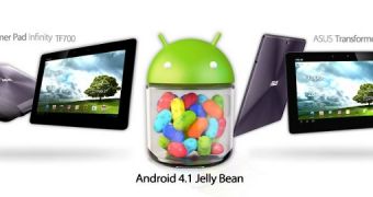 ASUS updates Transformer Pads with Jelly Bean