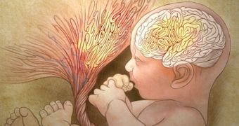 Researchers are looking to test the theory that abnormalities in a child's placenta indicate a higher autism risk