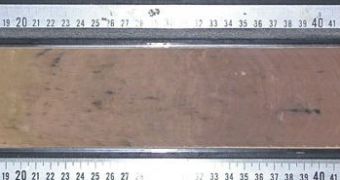 Core sample spanning the Paleocene-Eocene event. The sharp transition from carbonate-rich sediments (grey-white) to pure clay (red) indicates the dissolution of carbonates due to ocean acidification
