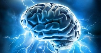 Medical Oddity: Head Injury Gives Woman Amazing Brain Power