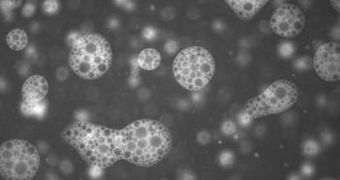 Liosomes with nested microbubbles could pass through the human skin while carrying drugs