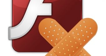 Cross-site scripting vulnerability patched in Flash Player 10.3.181.22