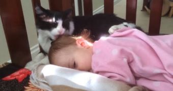 Baby girls gets special grooming session from family cat