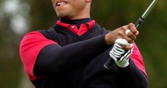 Sponsors pull all Tiger Woods commercials, golfer is losing serious money, reports say