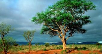 Africa now concerned with its ecosystems