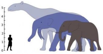 The largest land mammals that ever lived, Indricotherium (grey) and Deinotherium (blue) would have towered over modern-day African elephants.