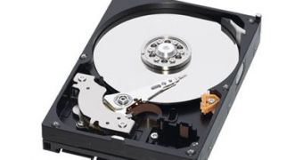 Against All Odds and Common Sense, HDD Sales Will Be Record High