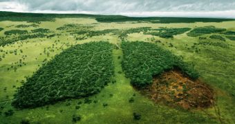 Deforestation threatens to upset climate, rainfall, agricultural practices, Greenpeace report says