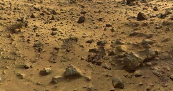 This is what the Martian soil looked like at the landing site of the Phoenix Mars Lander, in 2008