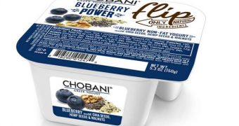 Chobani  Blueberry Power Flip yogurt is outlawed by Air Force