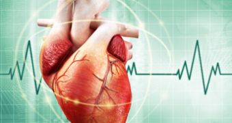 Air pollution harms the cardiovascular system, ups heart attack risk