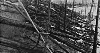 Photo of the Tunguska forest, taken in 1908, right after an airburster asteroid exploded 5 to 10 kilometers above
