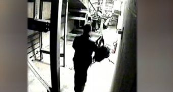 Airport Baggage Handler Caught Stealing from Passengers' Bags – Video