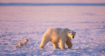 Alaska wants the US Government to explore the Arctic National Wildlife Refuge