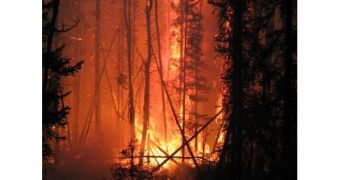 Climate change is causing Alaskan wildfires to burn more fiercely over the last decade which has resulted in an increase in greenhouse gases being pumped into the atmosphere.