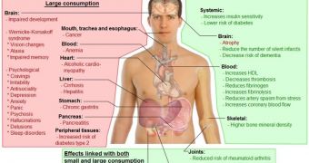The effects of ethanol (an alcohol) on the human body