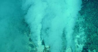 Hydrothermal vents in the deep ocean could hold organisms that defy our concepts of what life is made of