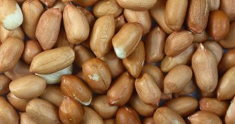 Peanut and tree nut allergies are on the rise in the United States, new statistics find