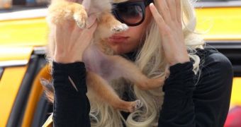 Amanda Bynes drenched her new puppy in gasoline when she started the fire in a woman’s driveway
